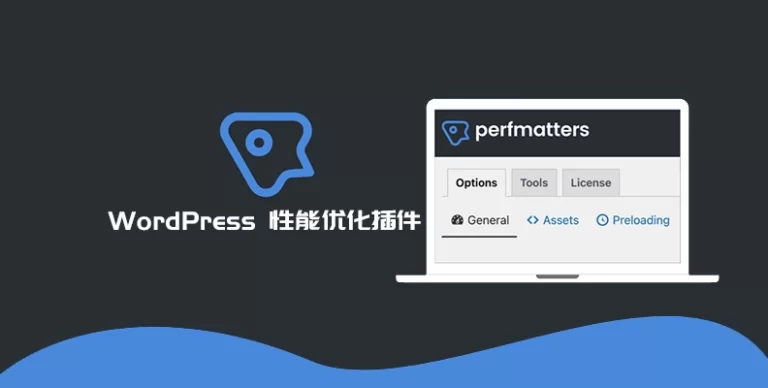 Perfmatters v2.5.1 汉化版 – 轻量级 WordPress 优化插件