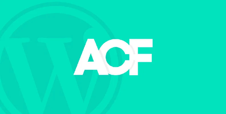 Advanced Custom Fields Pro v6.6.1 中文版 – WP自定义字段插件