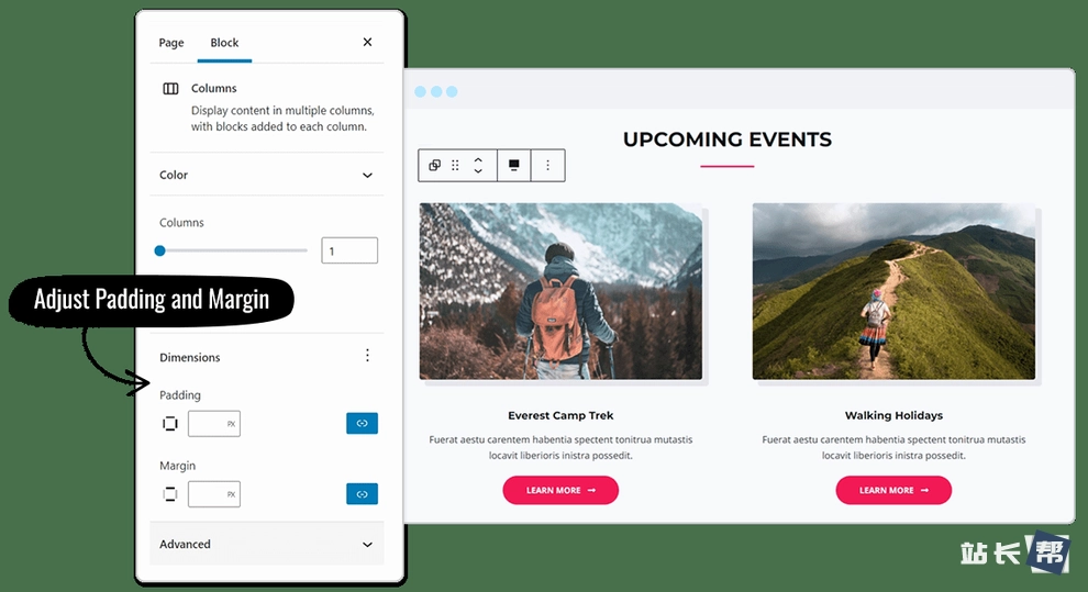 Astra WordPress 主题 古腾堡演示
