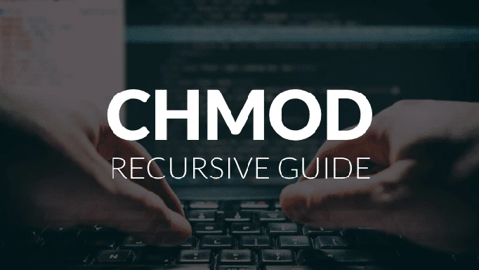 Linux 系统中 chmod 批量设置文件或子目录权限的小技巧