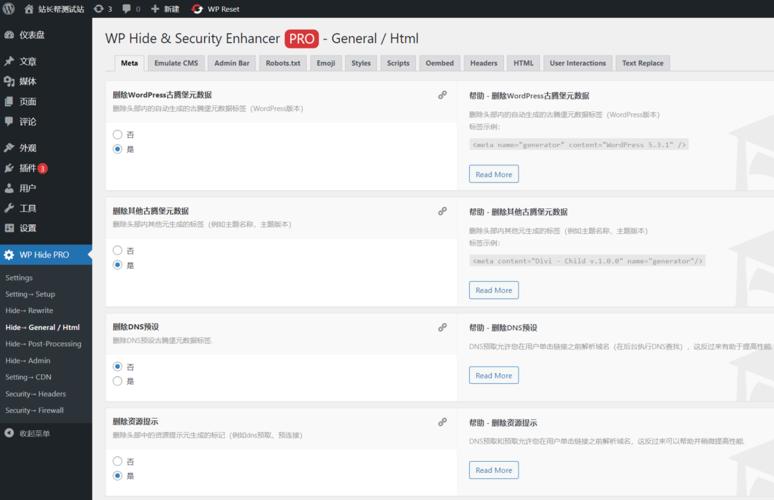 WP Hide & Security Enhancer PRO - General / Html