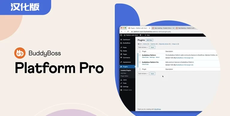 BuddyBoss Platform Pro v2.9.0 汉化版 – WP 社区平台
