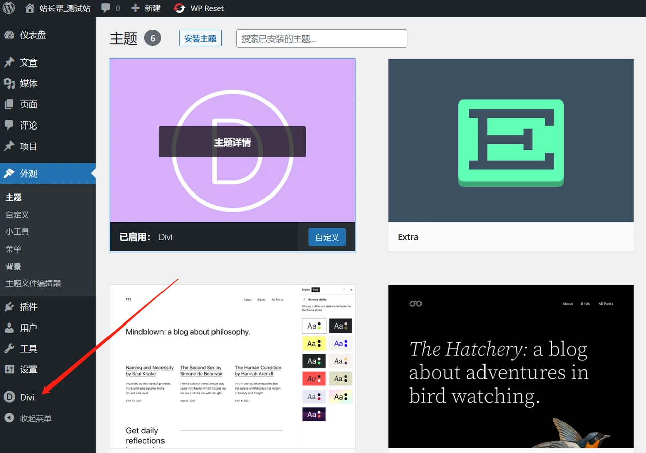 安装并启用主题后，点击Divi菜单
