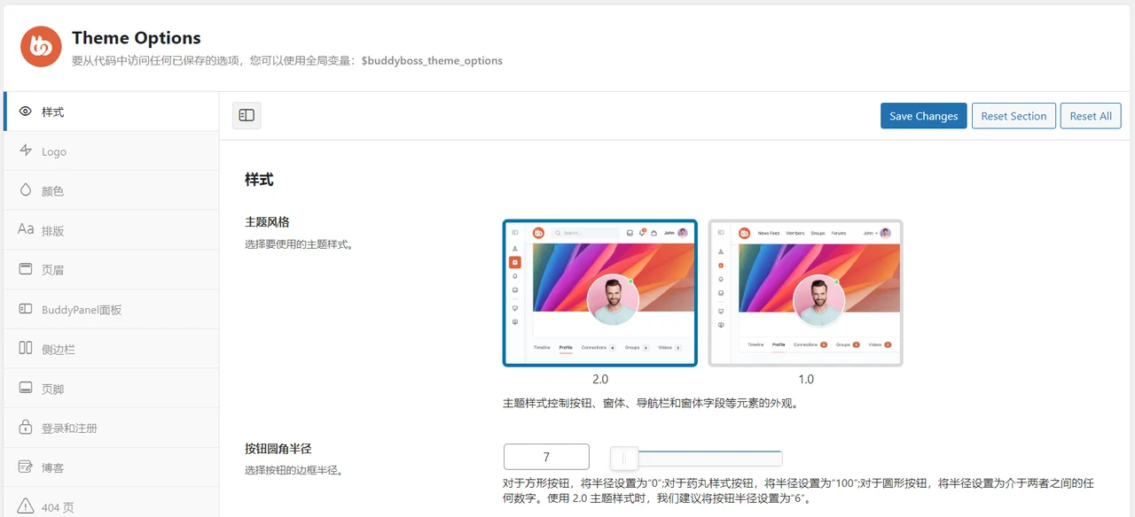 BuddyBoss Theme 主题面板演示 BuddyBoss Theme 主题面板演示