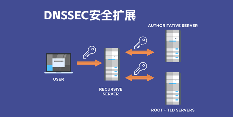 什么是域名的DNSSEC安全扩展? - 站长帮资源