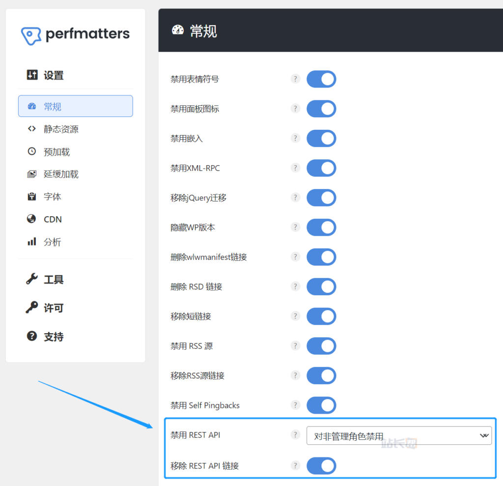 使用 Perfmatters 禁用 WordPress REST API