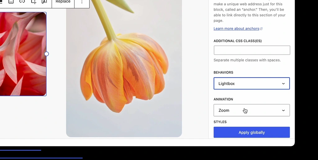 WordPress Image lightbox DEMO
